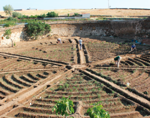 La experiencia agroecológica de Arroyo de la Luz (Cáceres)