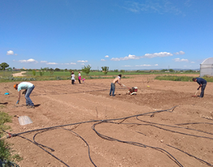 Del desempleo al emprendimiento, la escalada agroecológica TERRAE