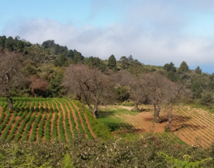 Recuperar el patrimonio y la memoria agriculta como argumentos para un turismo agroecológico
