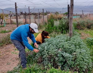 La agroecología como estrategia para recuperar población en Almócita