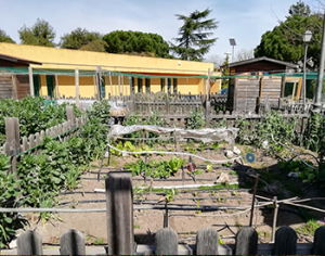 Móstoles, una gran ciudad, comprometida con la agroecología municipal