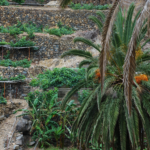 galeria-2