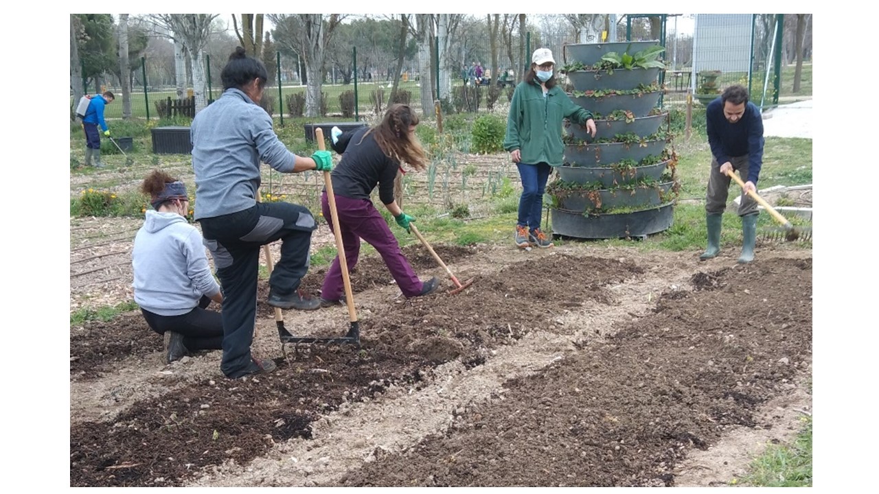 trabajo colectivo cavando bancal con la horca doble