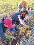Taller agricultura sintropica valdepielagos (3)
