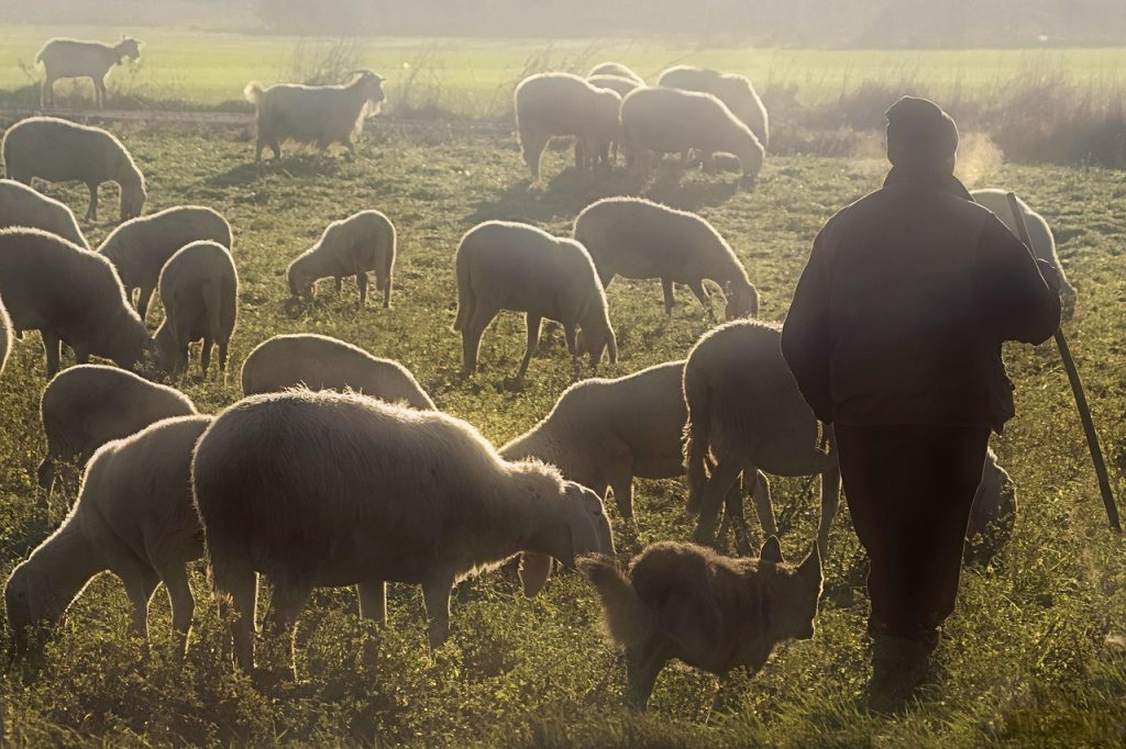 Agroecología y migración: claves prácticas para orientar la regularización desde lo local
